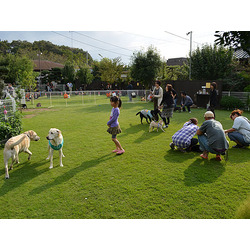 DogRun&Cafe SunSui