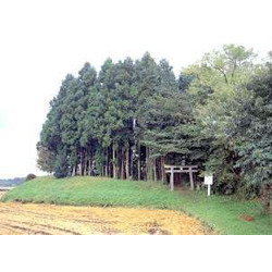 高龗神社古墳(宇都宮市)
