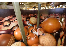 モビリティリゾートもてぎ