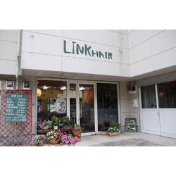 LINK HAIR