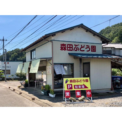 森田ぶどう園
