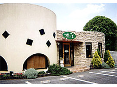 中国美菜 たんぼ