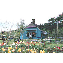 創造の森農園レストラン