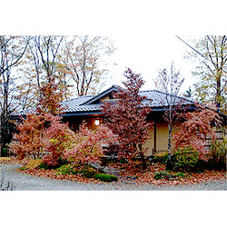 那須高原料理 蕎麦石心