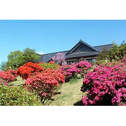 つがの里 ふるさとセンター