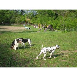 那須高原アカルパ