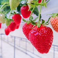 ゴールデンウイーク特集